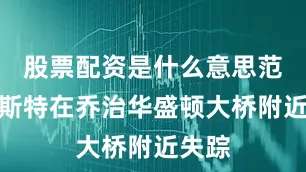 股票配资是什么意思范德霍斯特在乔治华盛顿大桥附近失踪