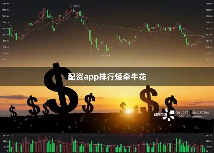 配资app排行矮牵牛花